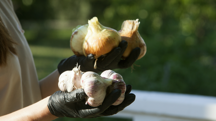 День работника сельского хозяйства: поздравления в стихах и прозе День работника сельского хозяйства: поздравления в стихах и прозе