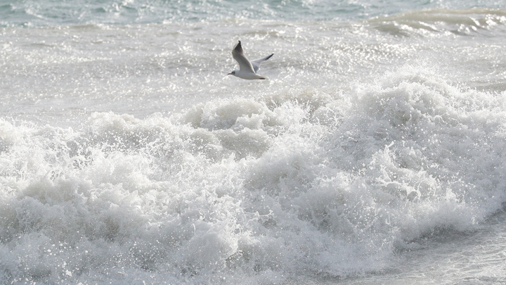 В Гидрометцентре рассказали, почему климат на Земле станет теплее