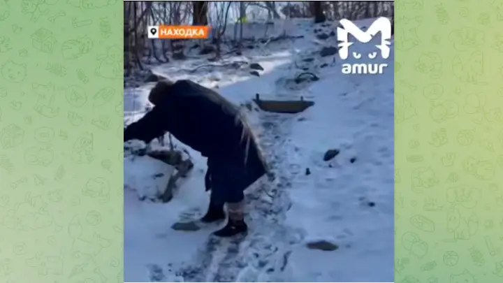 Бабушка на коленях: в Находке 77-летняя пенсионерка ползет за хлебом по льду