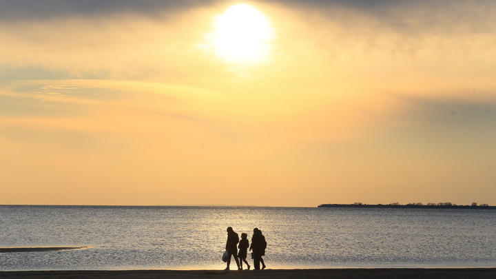 Гуляющие по берегу Финского залива наткнулись на труп лысой женщины