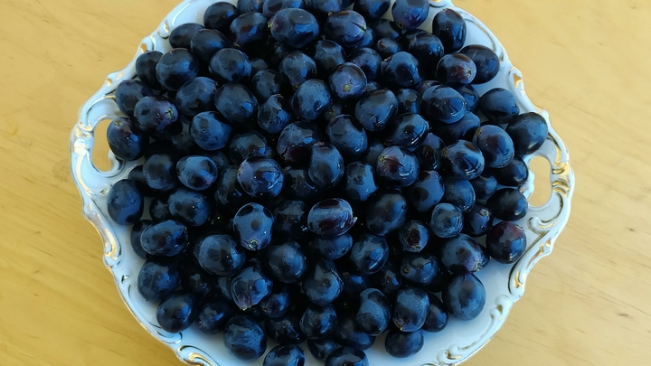 Названы продукты, которые насытят на целый день