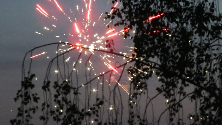 Встретить Новый год и… выжить: Как не стать жертвой петард и гирлянд - советы спасателей