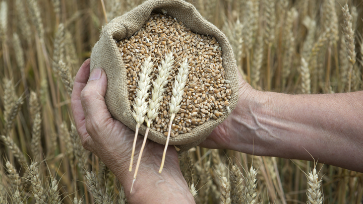 В ООН желают продления зерновой сделки еще на два месяца