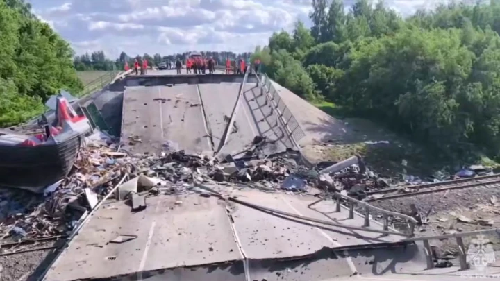 Богомаз: задержанные диверсанты причастны к подрыву моста в Брянской области