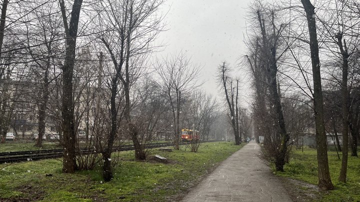 На Кубани объявлено штормовое предупреждение… по заморозкам