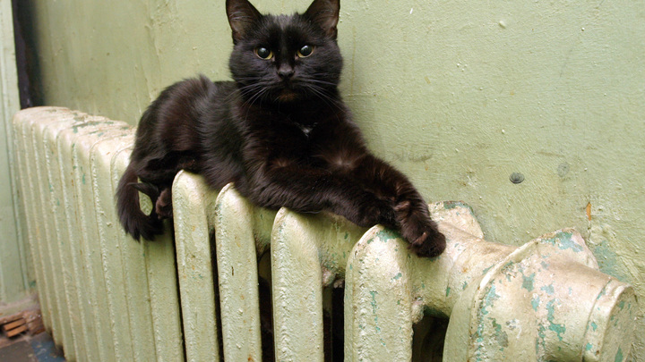 В Краснодаре без тепла и горячей воды остались 5,4 тыс. жителей улицы Зиповской