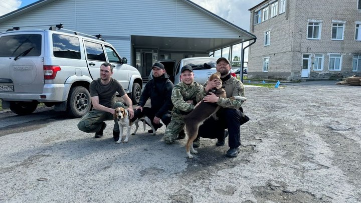 Спали в обнимку с собаками. Волонтёры рассказали, как нашли детей в свердловском лесу