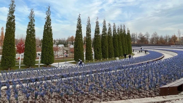 Жительница Сочи недовольна посетителями парка Галицкого