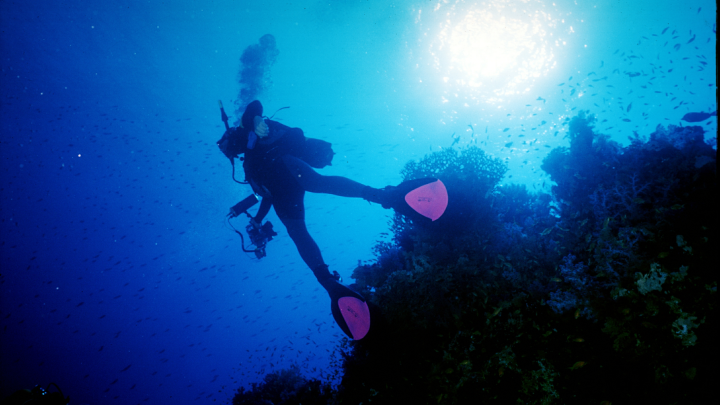 О нём просто забыли: В Геленджике турист утонул во время дайвинга