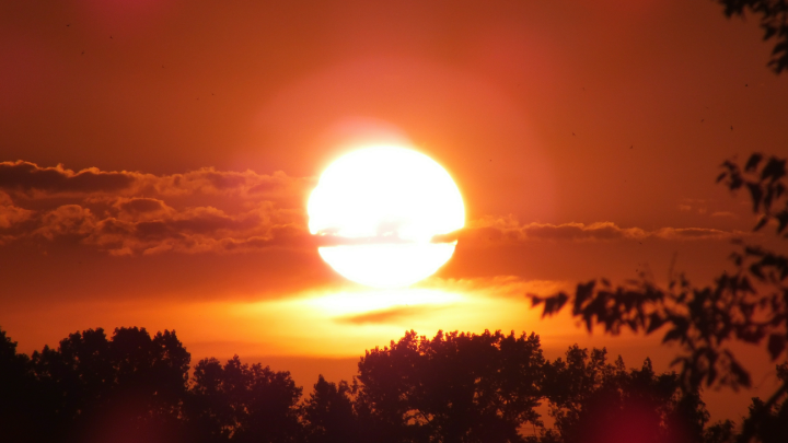 Птица размером больше Земли: Учёные показали красивый и загадочный снимок