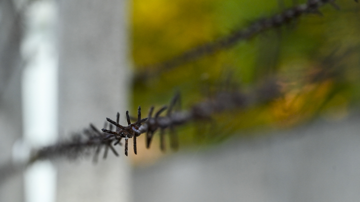 Днепрорудненские студенты прослушали лекцию о жизни узников концлагерей