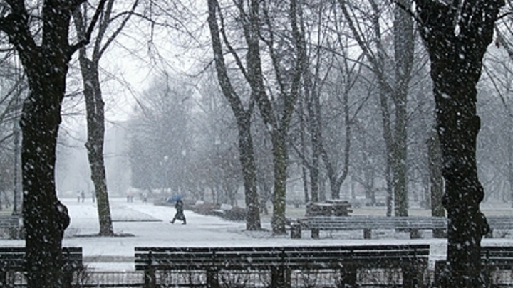 До -21 уже в первые дни: Прогноз погоды на ноябрь в Новосибирске
