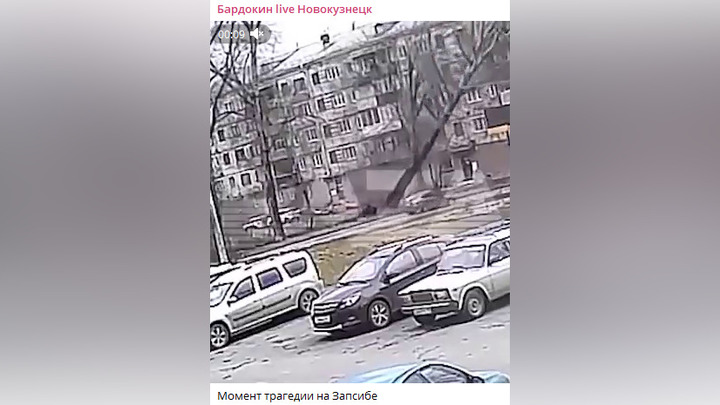 Появилось видео момента падения дерева на машину в Новокузнецке