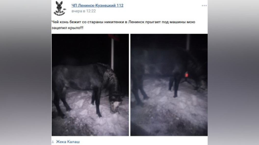 Чей это конь