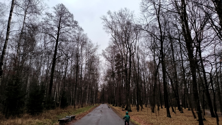 Плюсовые температуры задерживаются на Южном Урале