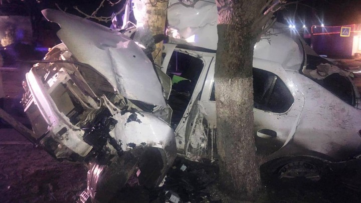 В Ростовской области погиб водитель, врезавшись в столб