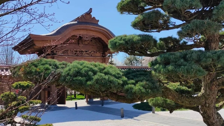 Тернистый пусть к дзену через QR-коды, ушлых спекулянтов и очереди: как попасть в Японский сад