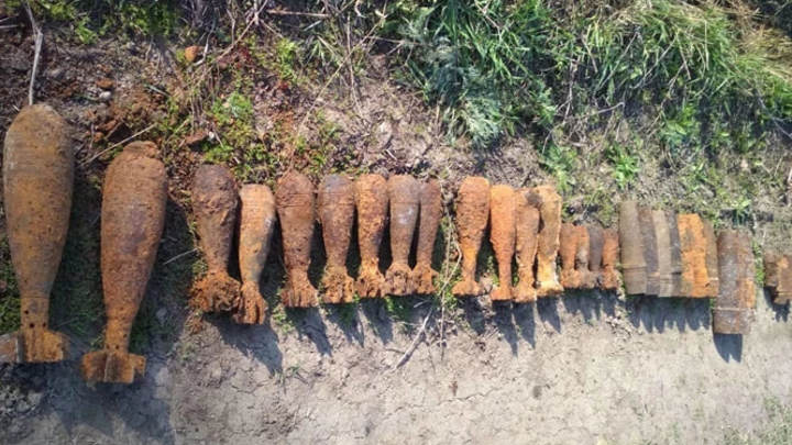 Жители Самарской области случайно нашли заминированное поле