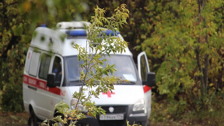 Русские учёные ведут разработку сразу трёх лекарств от рака