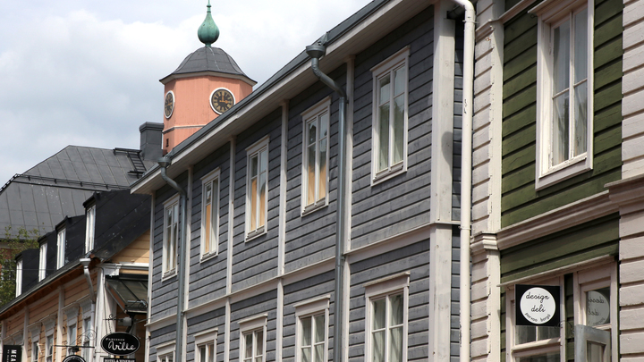 Финской стороной сделано всё: Промышленные предприятия соседей останавливаются - МИД России