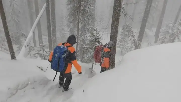 По сценарию Усольцевых: как в Красноярском крае ищут пропавшего экс-спецназовца