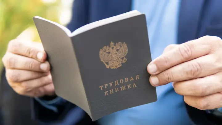 Доцент Рогалева рассказала о главных изменениях на рынке труда в 2026 году