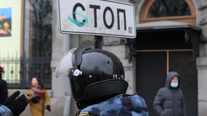 Красивый зверёк, но...: Сатановский нашёл гениальное сравнение для навальнят, ЦРУ и Госдепа