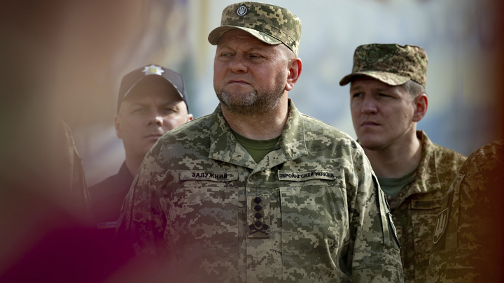 Офицер ВС США: Главком ВСУ Залужный попал в ловушку России