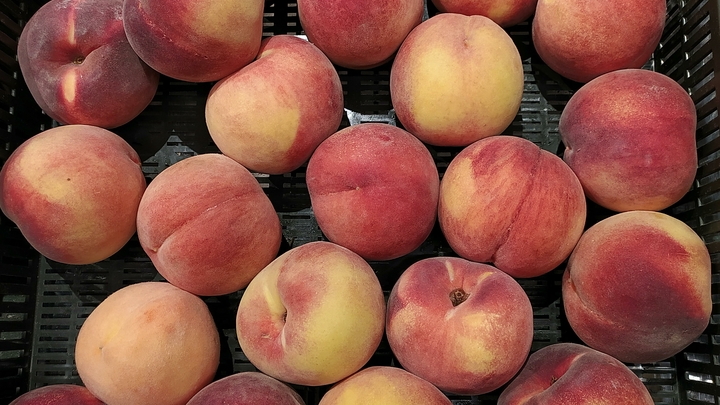 Названы самые полезные фрукты начала лета: не только вкусный завтрак, но и кладезь витаминов