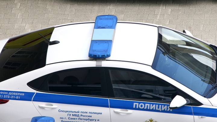 За что в Петербурге арестовали дочь диверсанта, взорвавшего опору ЛЭП в Ленобласти