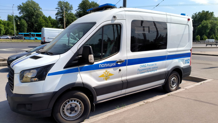 Ограбил и сломал ключицу: полиция нашла рецидивиста, который напал на женщину на Смоленском кладбище