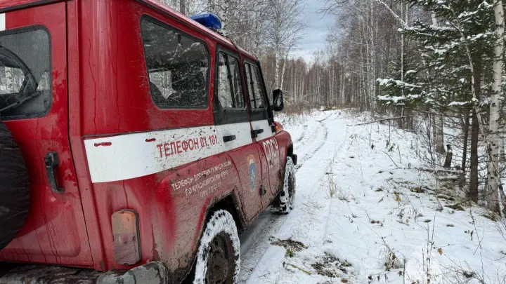 Волонтёры ЛизаАлерт рассказали о планах возобновить поиски Усольцевых