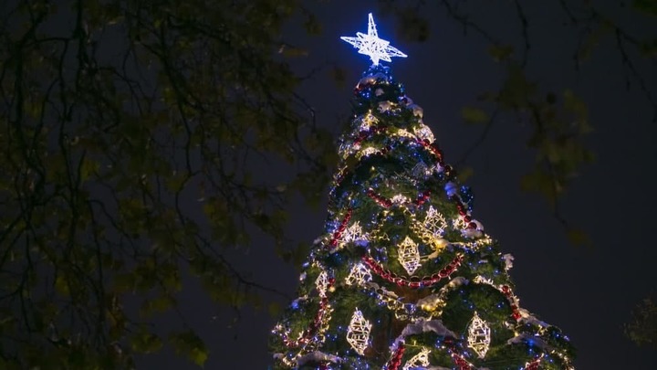 Новогодние каникулы с пользой: В Краснодаре подготовили афишу праздничных онлайн-мероприятий