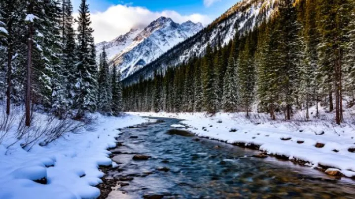 Всплыли последние фото с места пропажи Усольцевых. А вы заметили необычное?