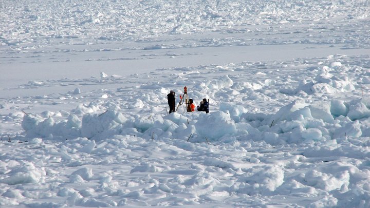 По мнению учёных, Арктика станет безлёдной к 2030 году