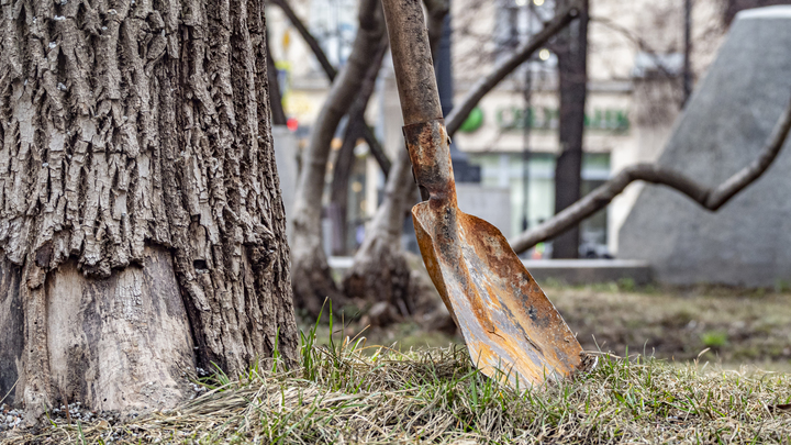 В Сочи неадекватный водитель лопатой разгромил автобус