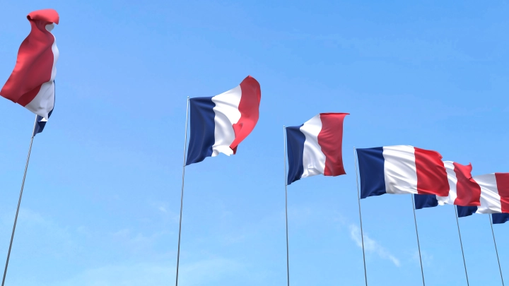 Роман с наследницей королевской семьи может повлиять на исход выборов во Франции