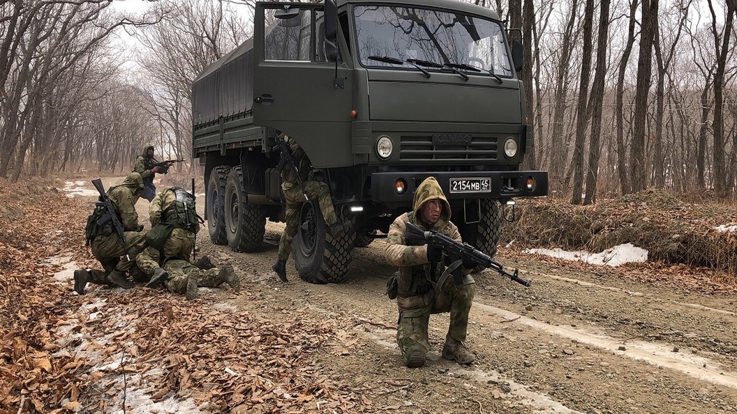 Ввели российские войска. Военное дело.