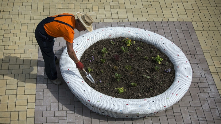 Садовник убил депутата? Факты и версии расправы в Подмосковье