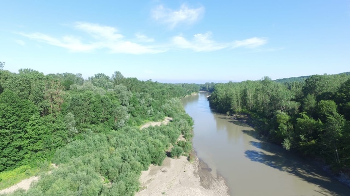 Что известно об исчезновении детей, упавших в реку Пшеха, под Апшеронском