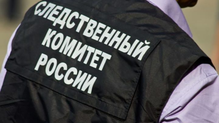 В Новосибирске возбудили уголовное дело после смерти 2-летнего мальчика в ДТП