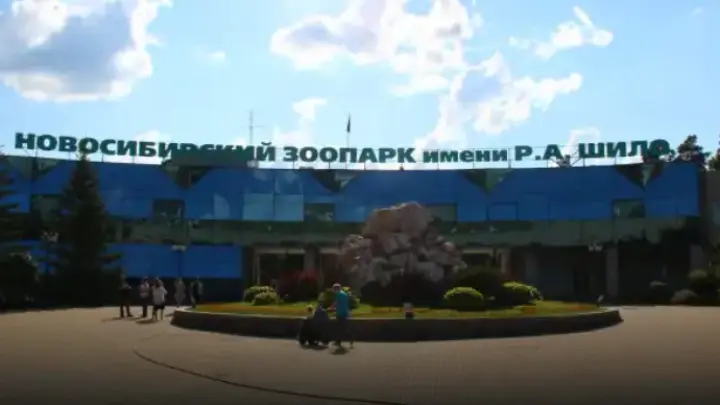 Новосибирский зоопарк летом будет работать в выходные до 23 часов