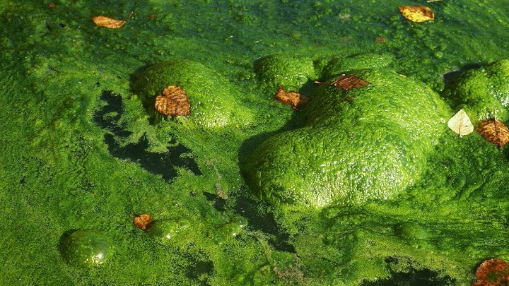 Секрет раскрыт: Британские учёные выяснили, как образовался универсальный источник энергии