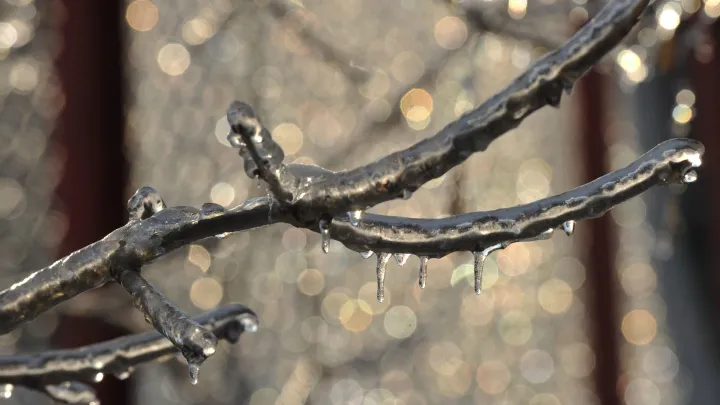 Экстремальные морозы до -30°C задержатся в Москве до конца недели