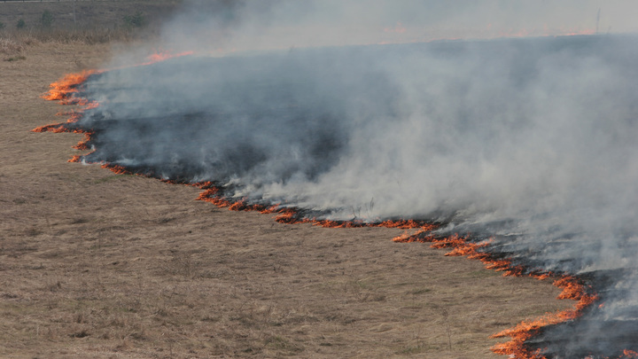 Обстрелы полей — это приказ Зеленского — Рогов