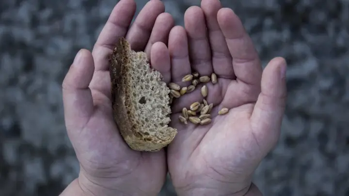 «Машенька», накормившая президента, молит о помощи: «Нам не выжить» «Машенька», накормившая президента, молит о помощи: «Нам не выжить»