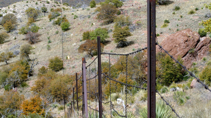 На Украине допустили переброску войск на границу США и Мексики