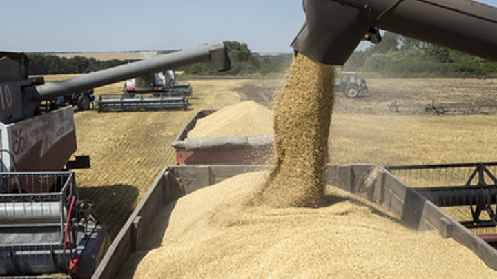 Сельхозпроизводители Курганской области получили отсрочку по кредитам