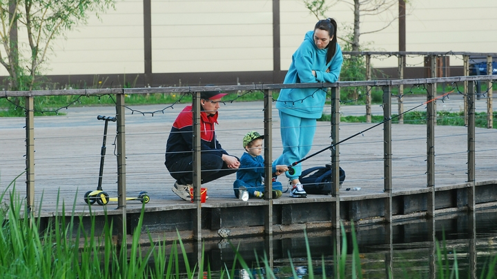 Свобода от налогов и ставка 0%: Русских хотят наградить щедрыми льготами, но не всех