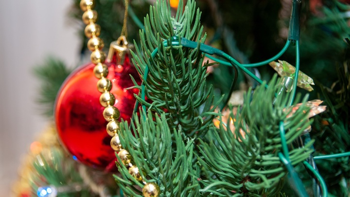 Жители России в новогодние каникулы будут отдыхать 11 дней